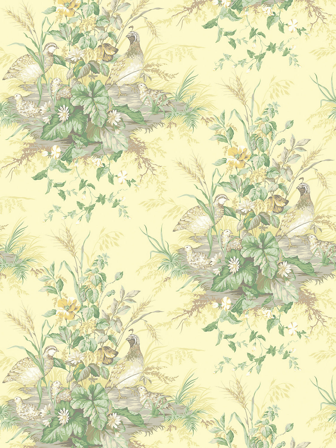 Edwin'S Covey - Sunlit - Scalamandre Wallpaper