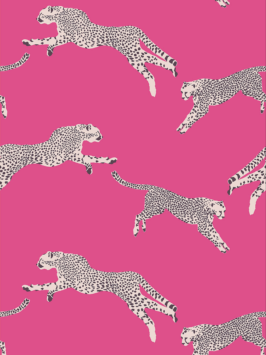 Leaping Cheetah - Bubblegum - Scalamandre Wallpaper