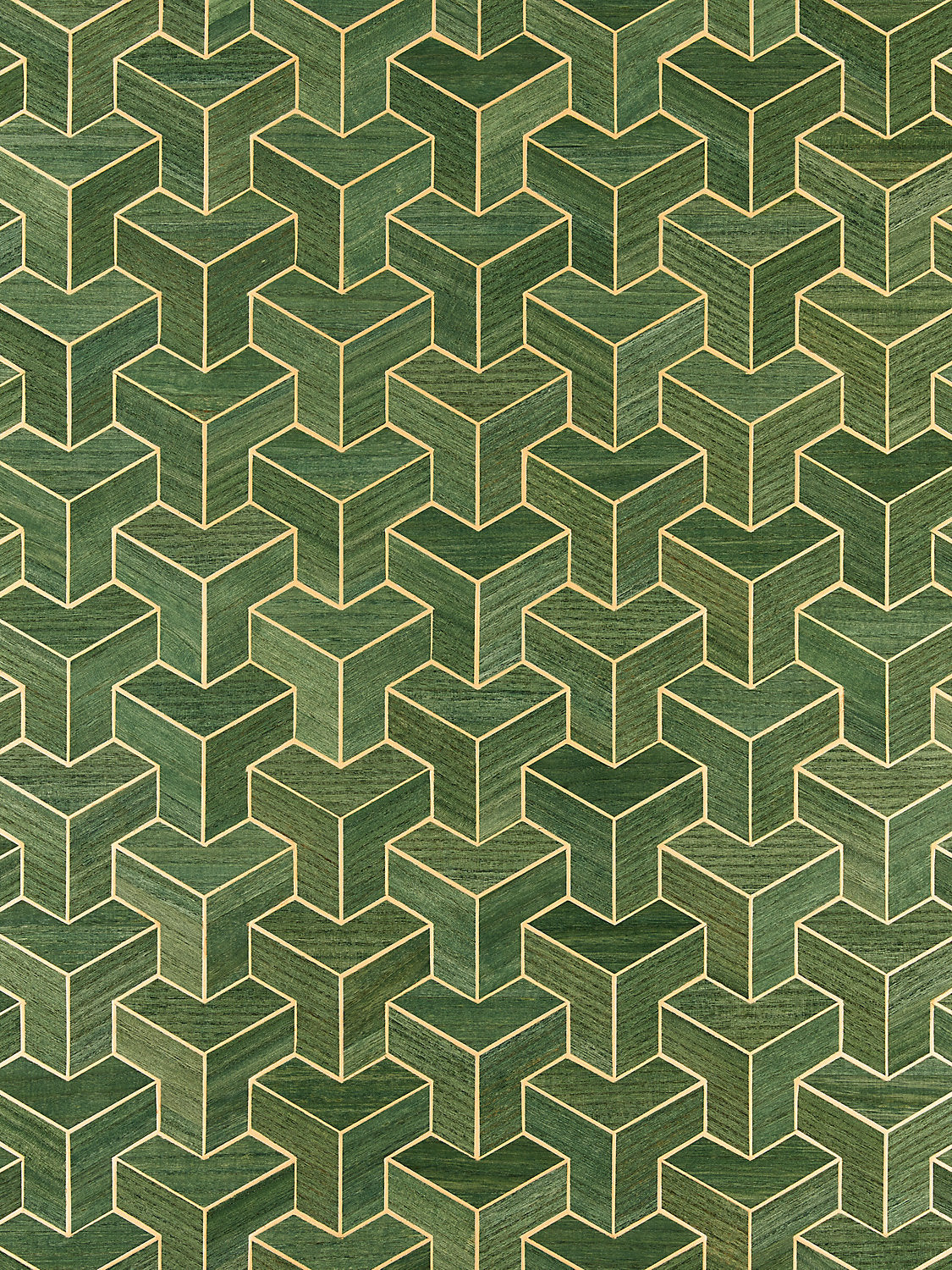 Forte | Wood - Cactus