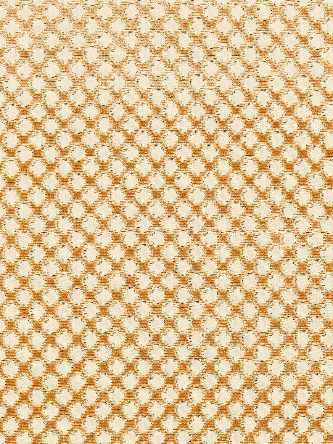 Pomfret | Silk - Coffee On Beige - Scalamandre Fabric
