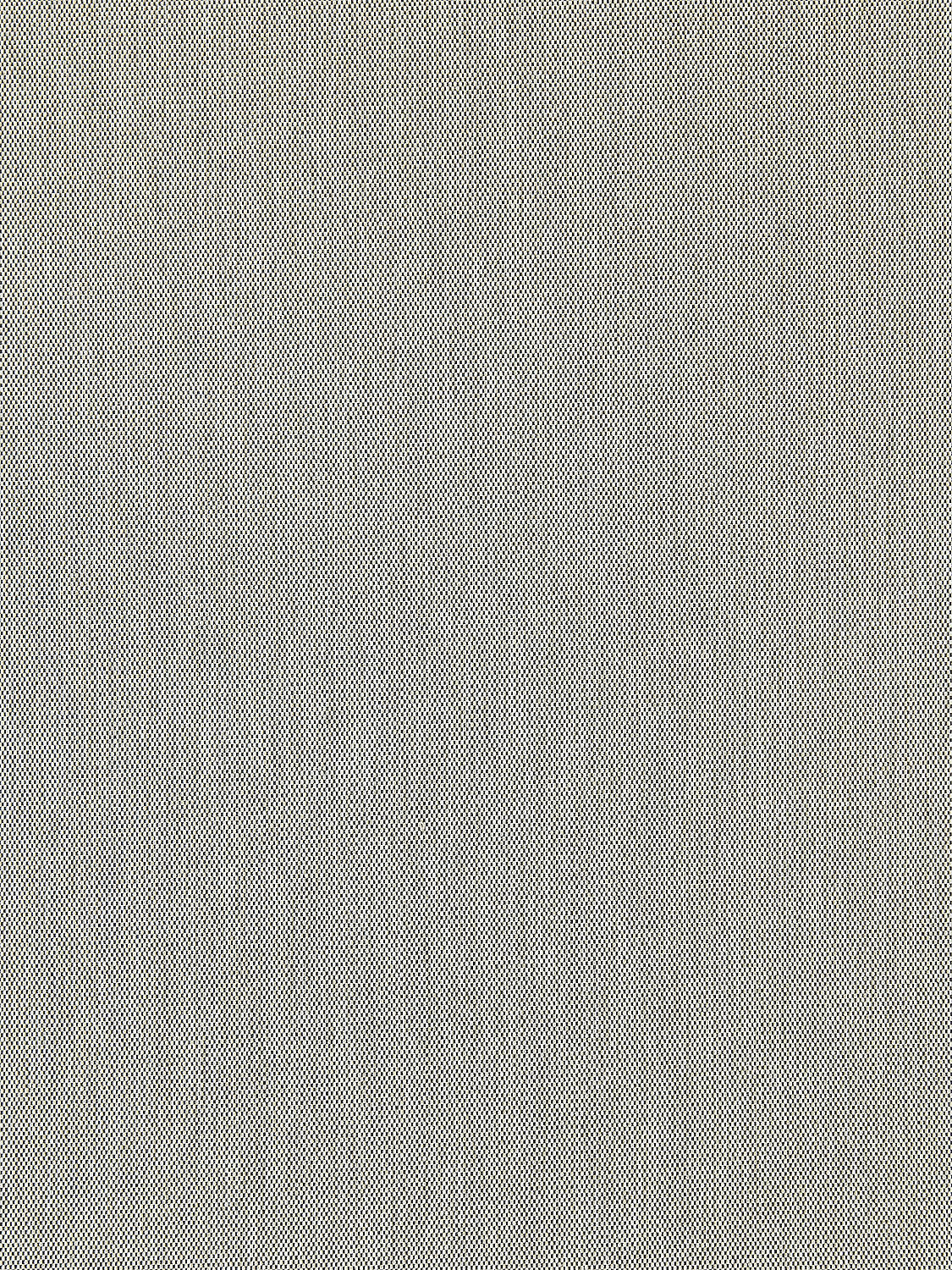 Canvas - Stone - Scalamandre Fabric