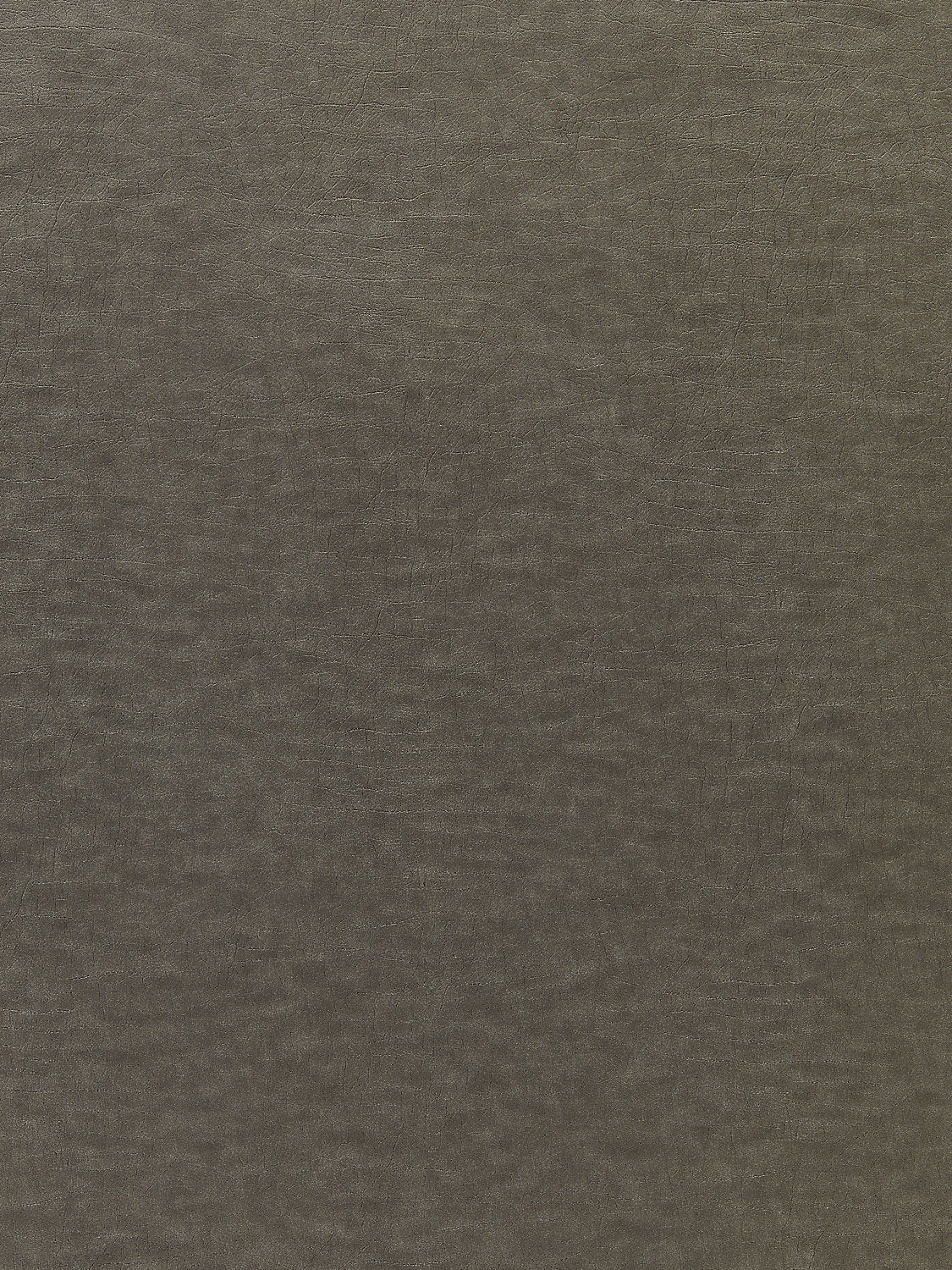 Cary - Elephant - Scalamandre Fabric