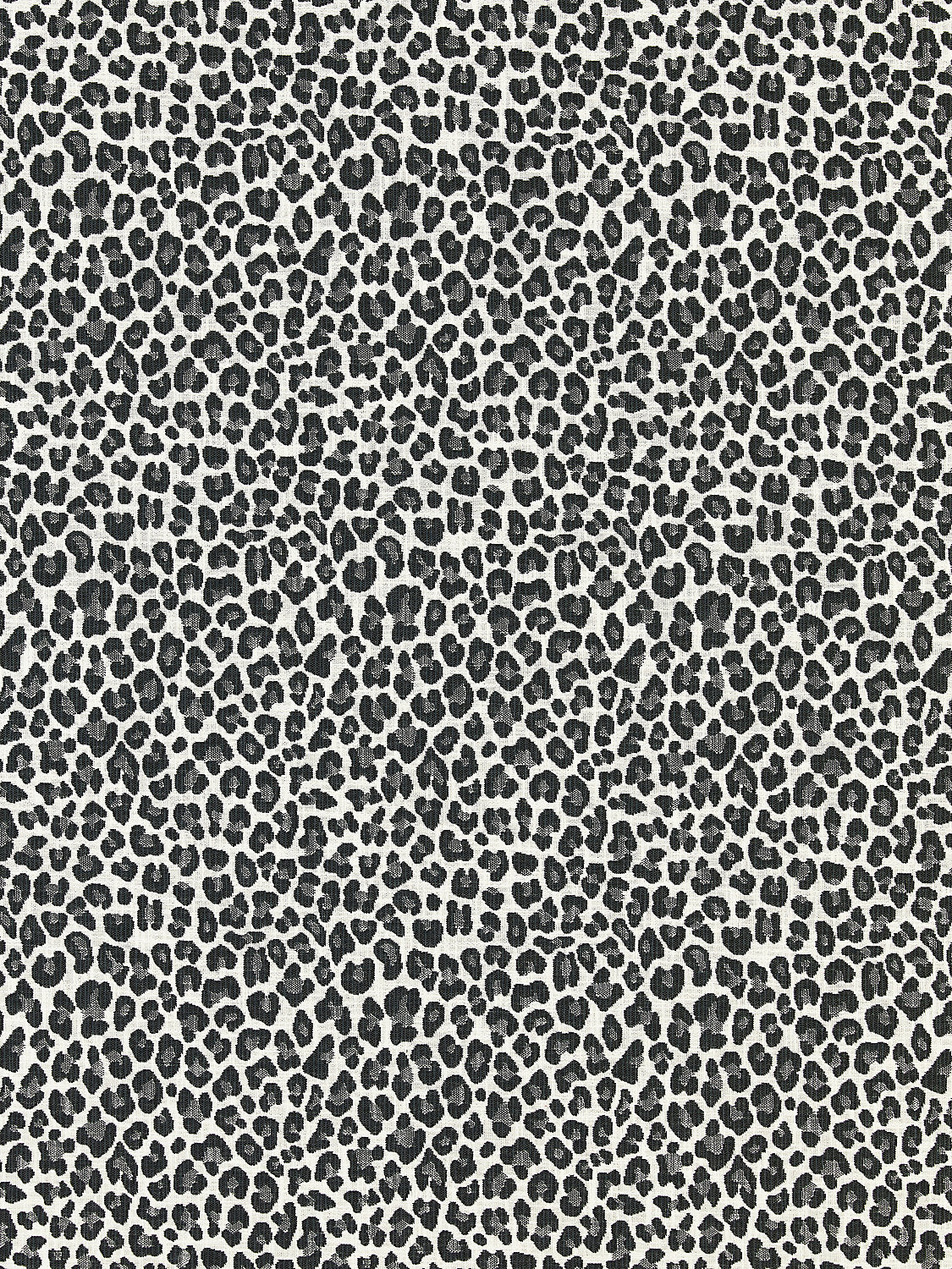 Backyard Bengal - Slate - Scalamandre Fabric