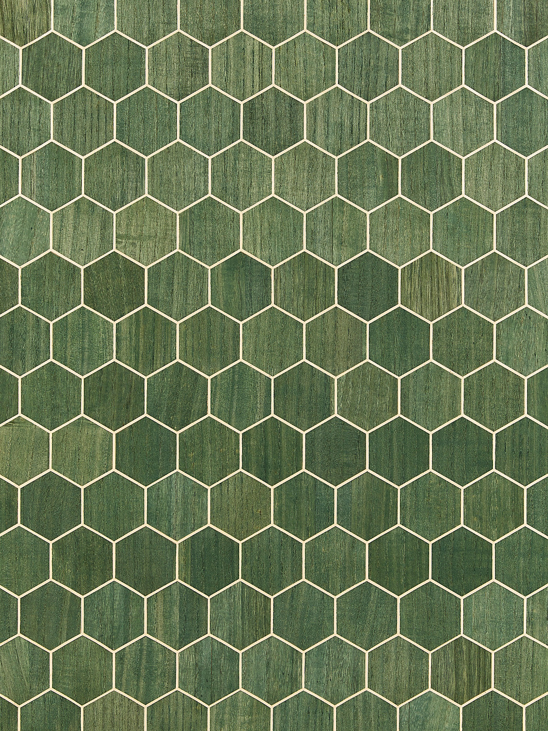 Andante - Aloe - Scalamandre Wallpaper