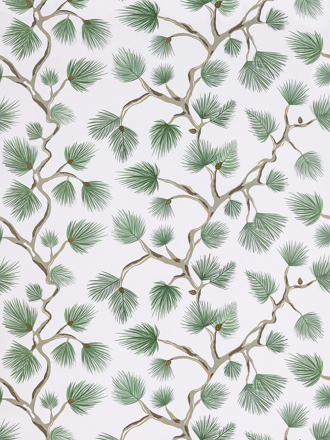 Pignoli Wallcovering - Fern