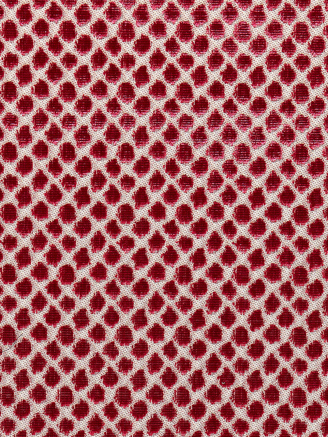 Etosha Velvet - Framboise