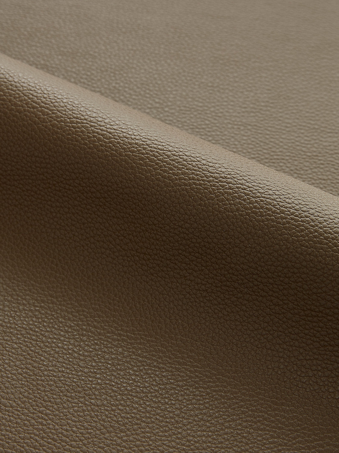 Lucille | Outdoor - Mocha - Scalamandre Fabric