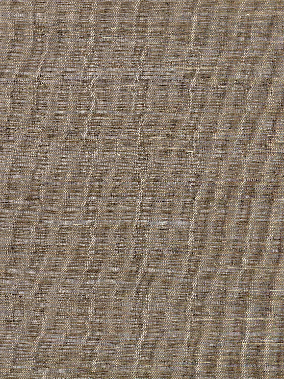 Fine Sisal - Nickel - Scalamandre Wallpaper