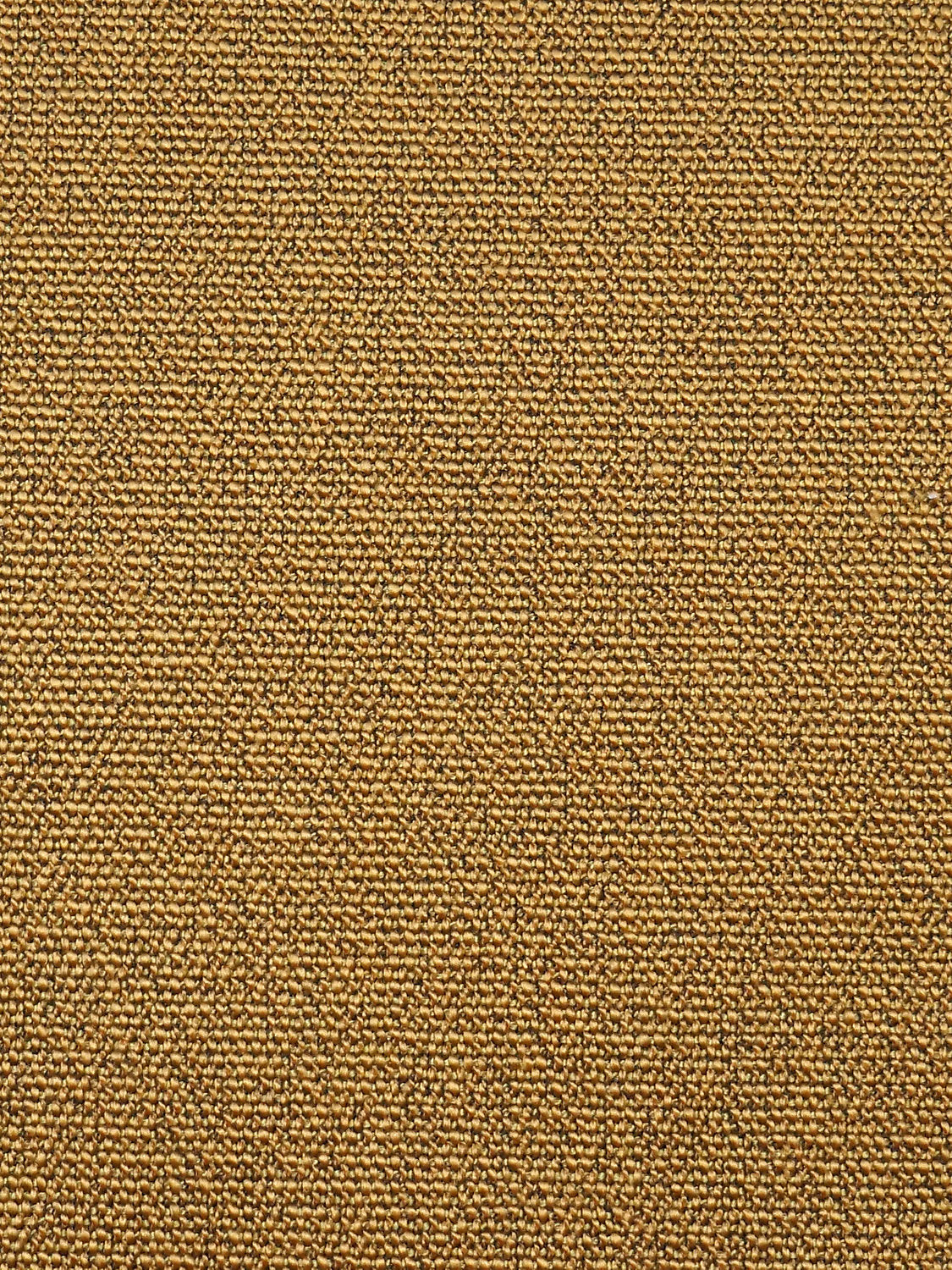 Boss Boucle - Butternut - Scalamandre Fabric