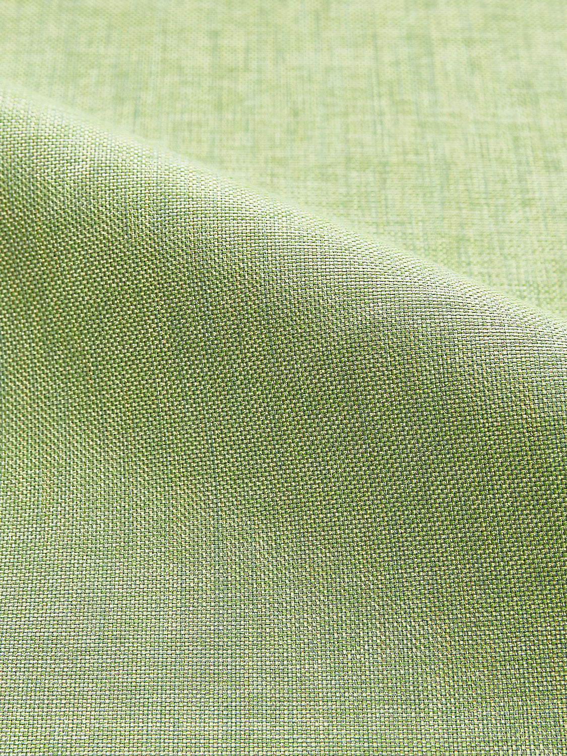 Orson | Unbacked - Mint
