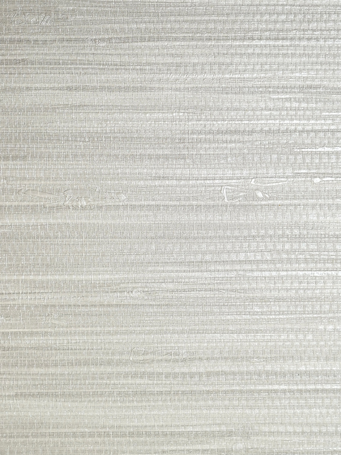 Pampas - Silver - Scalamandre Wallpaper