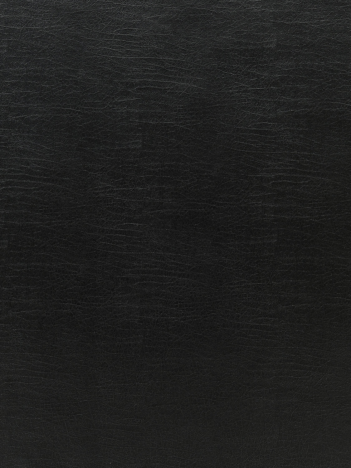 Cary - Onyx - Scalamandre Fabric