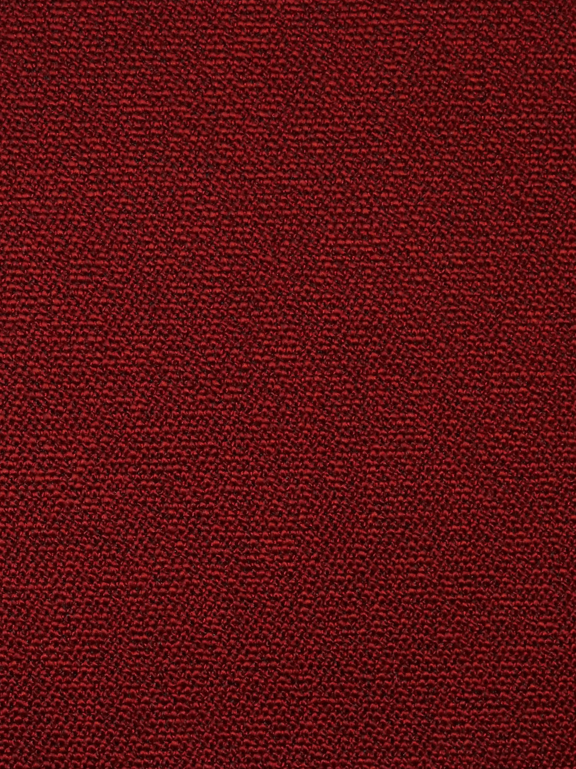 Boss Boucle - Ladybug