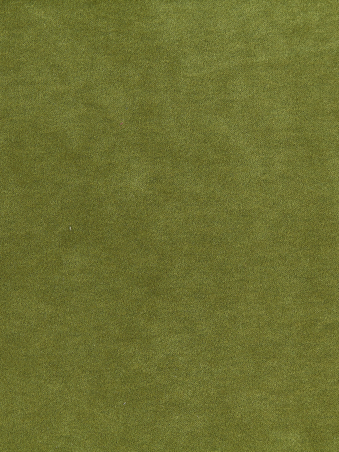 Aurora Velvet - Moss - Scalamandre Fabric