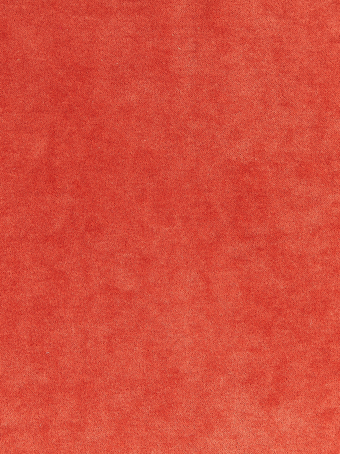 Aurora Velvet - Persimmon - Scalamandre Fabric
