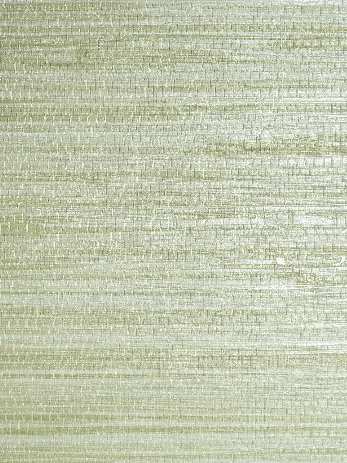 Pampas - Seagrass