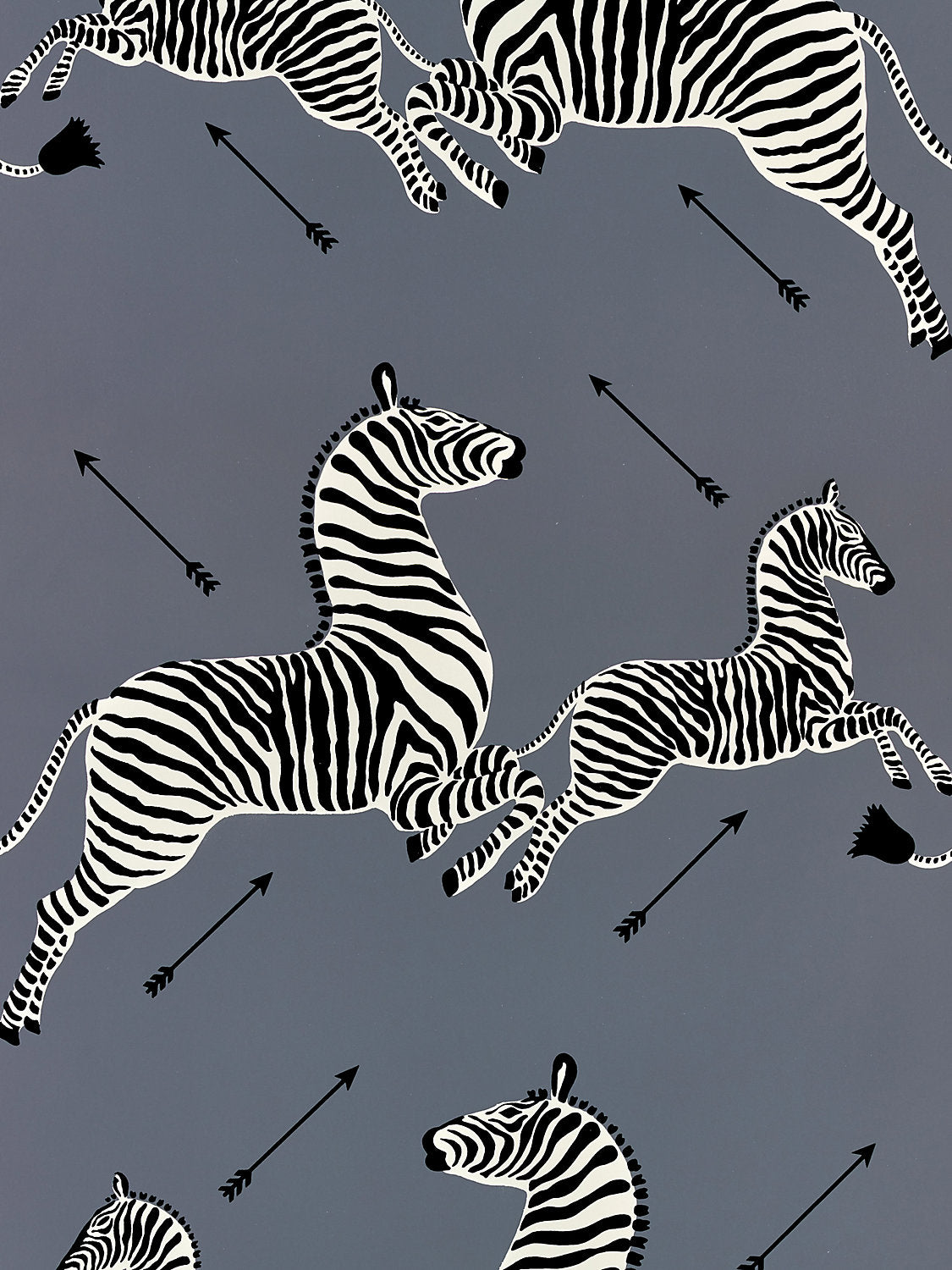 Zebras | Wallpaper - Charcoal
