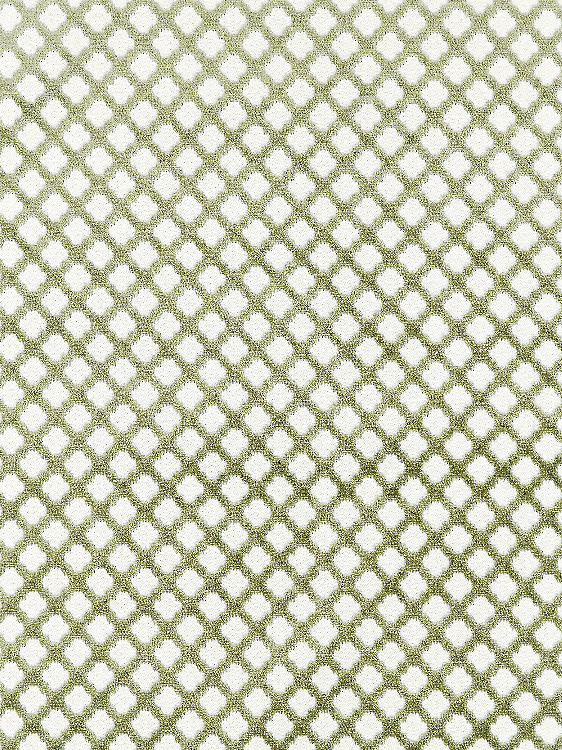 Pomfret - Green Tea - Scalamandre Fabric