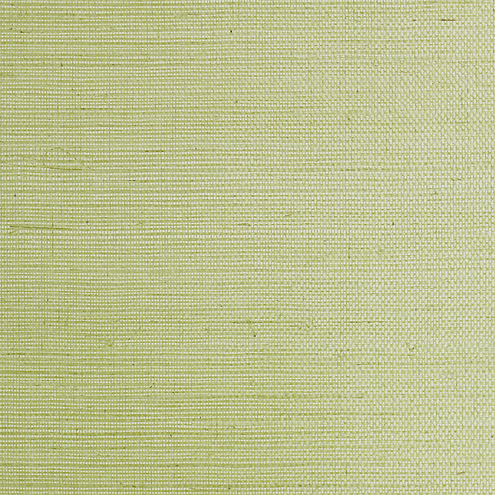 Sisal - Leaf