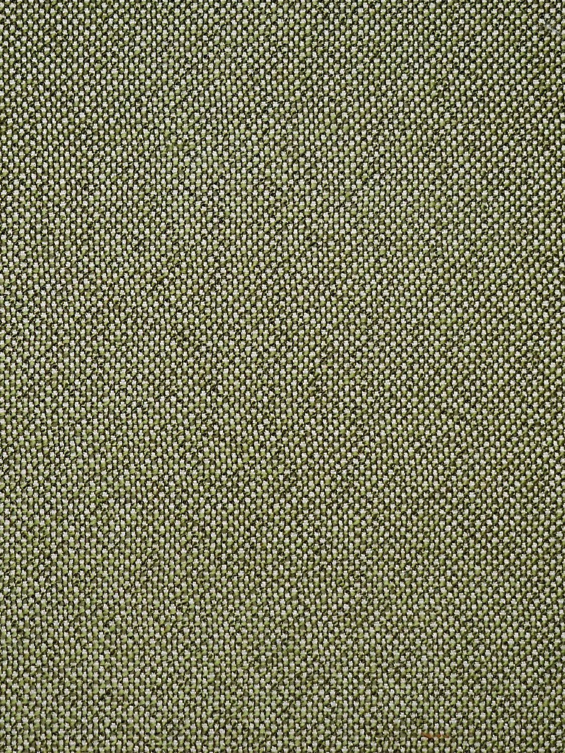City Tweed - Bonsai - Scalamandre Fabric