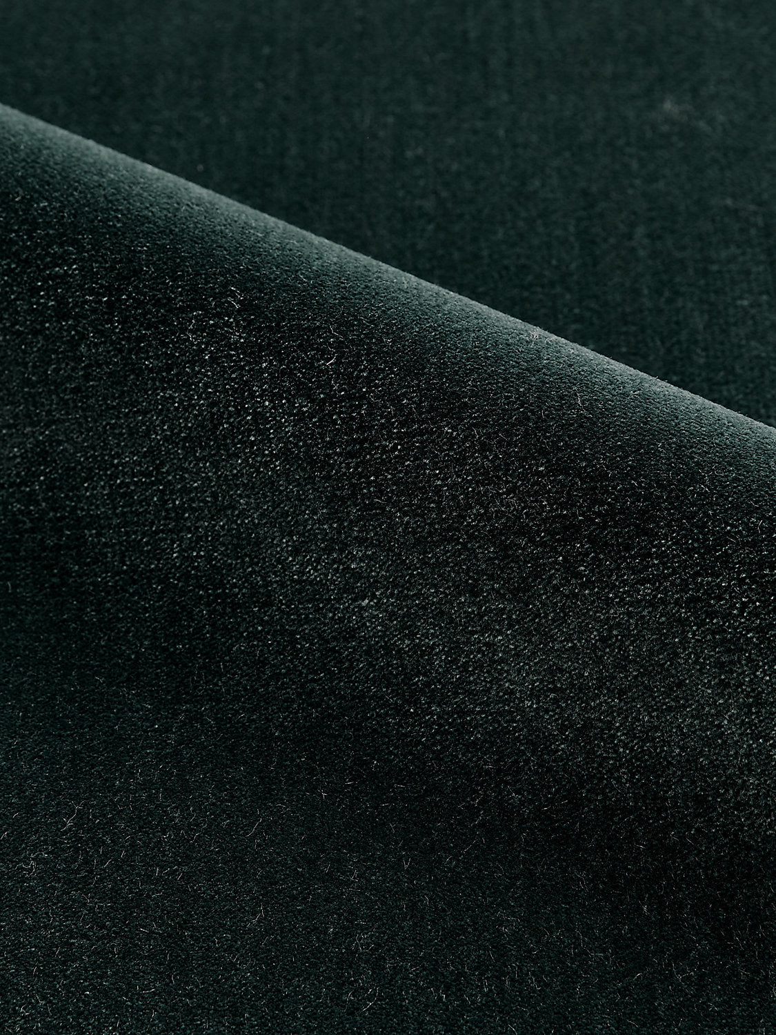 Porter - Carbon - Scalamandre Fabric