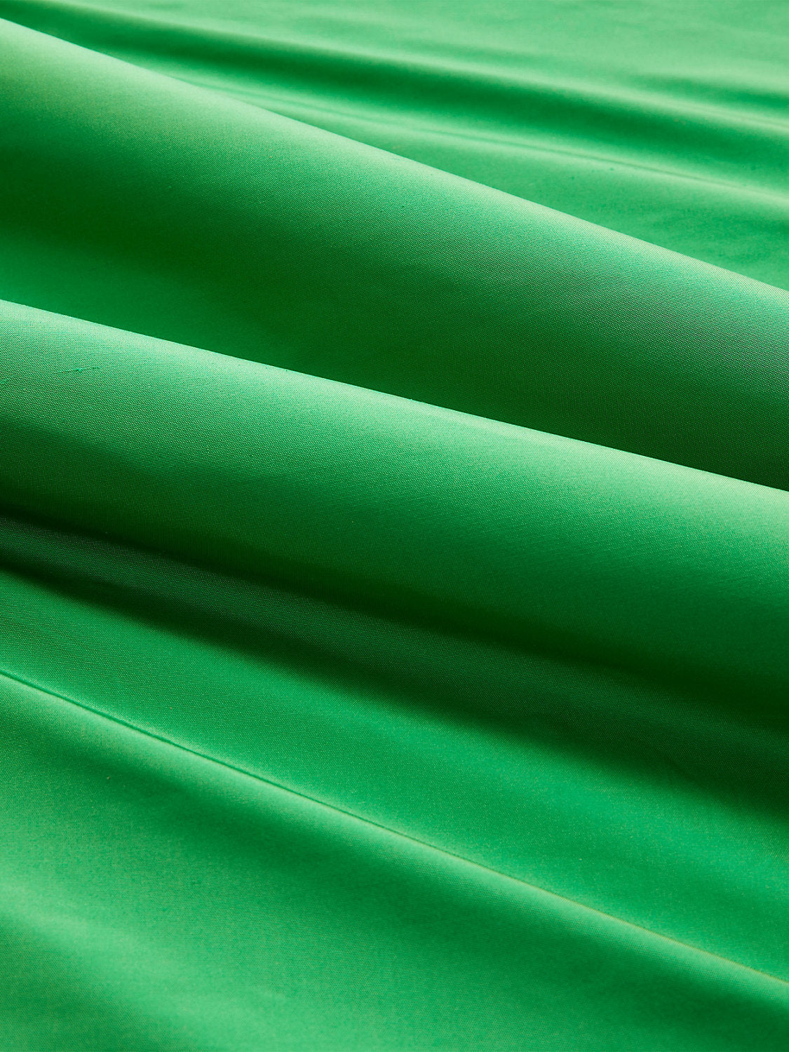 Olympia Silk Taffeta - Parrot - Scalamandre Fabric