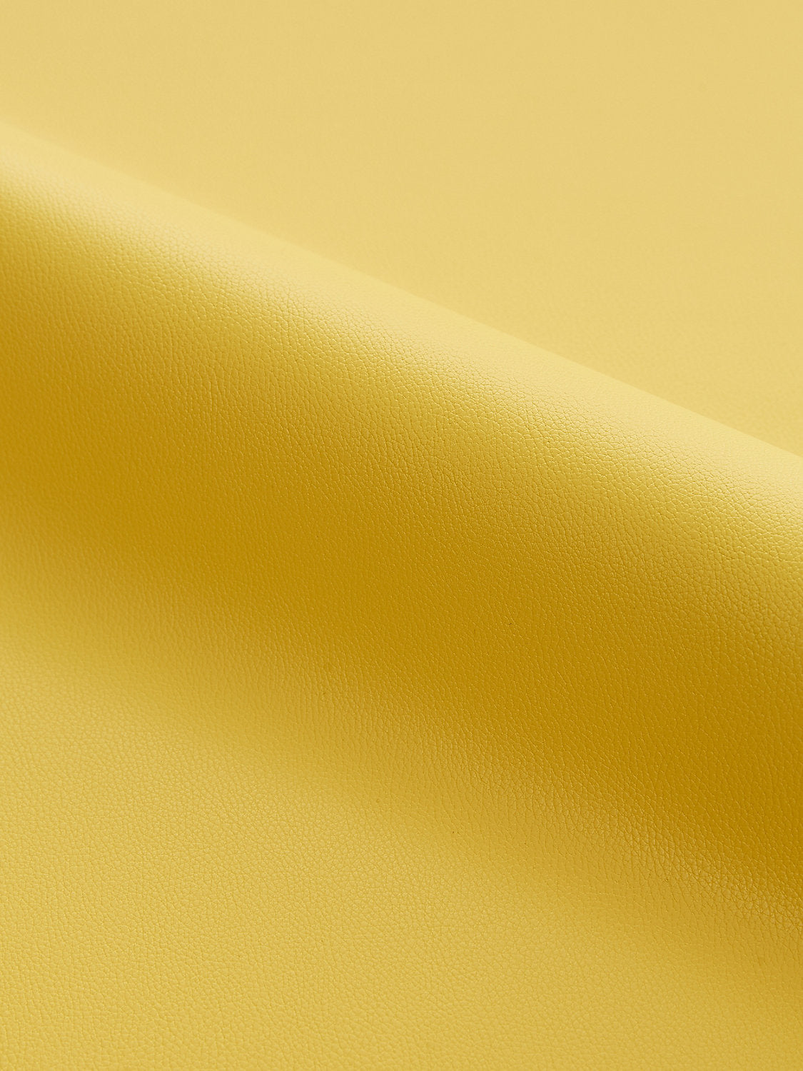 Clark | Outdoor - Goldenrod