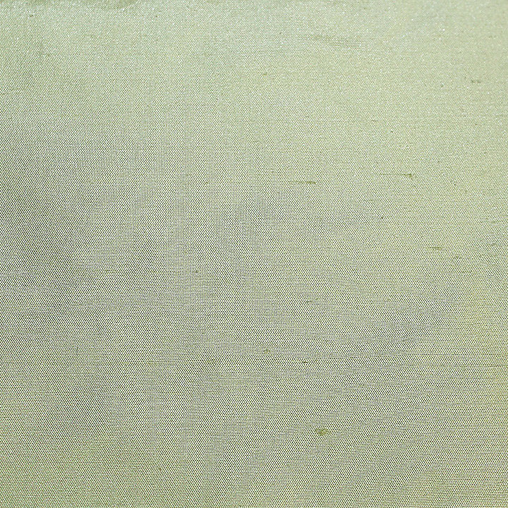Dynasty Taffeta - Kiwi - Scalamandre Fabric