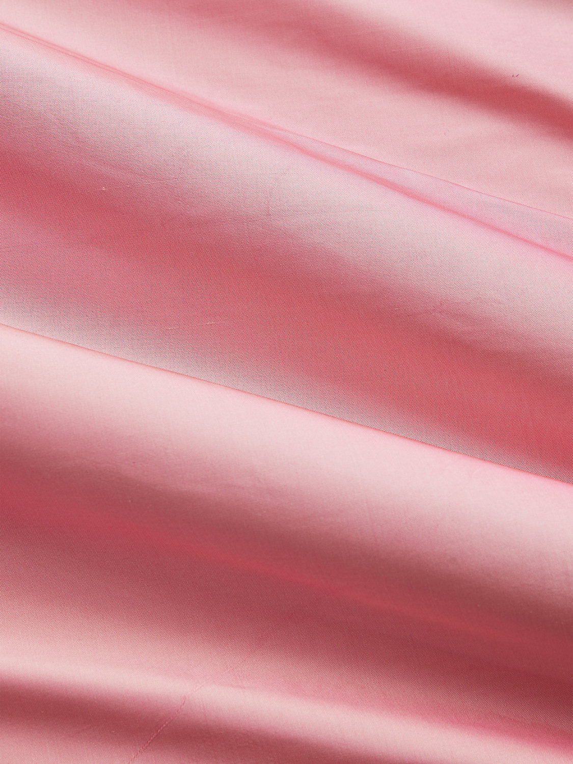 Olympia Silk Taffeta - Blossom - Scalamandre Fabric