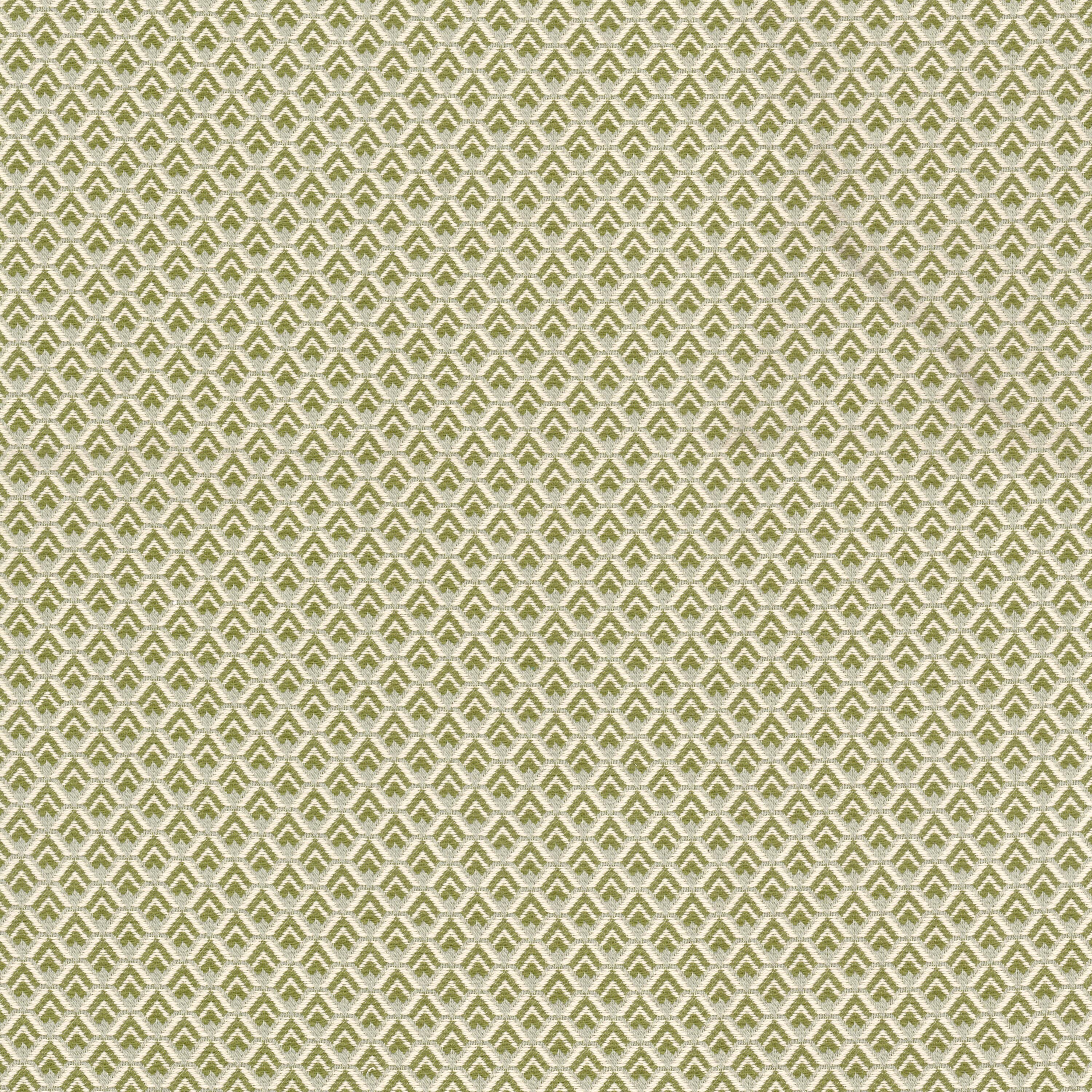 SHARON-2-APPLE-STOUT-TEXTILES - Stout Textiles Fabric