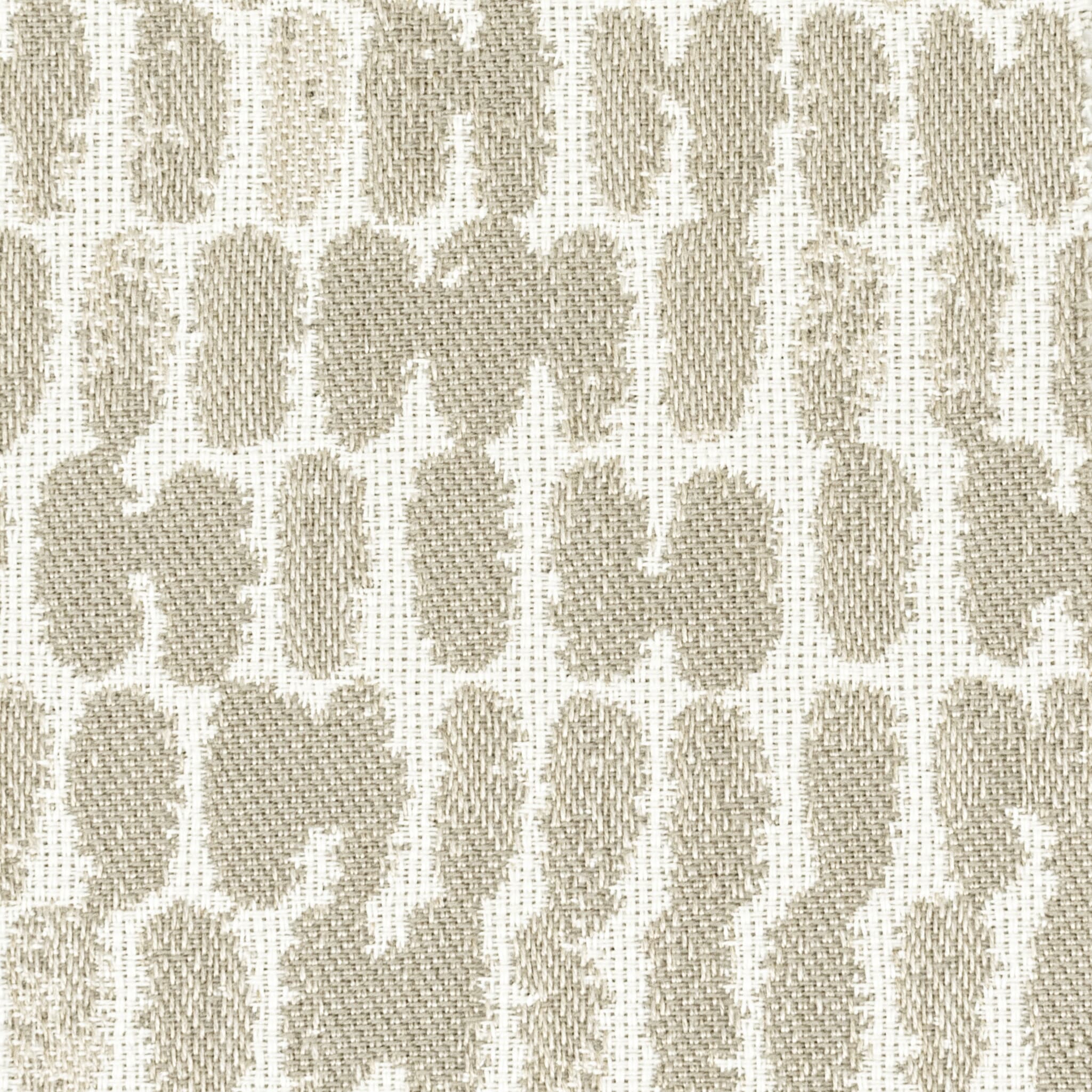SHUDDER-2-MUSHROOM-STOUT-TEXTILES