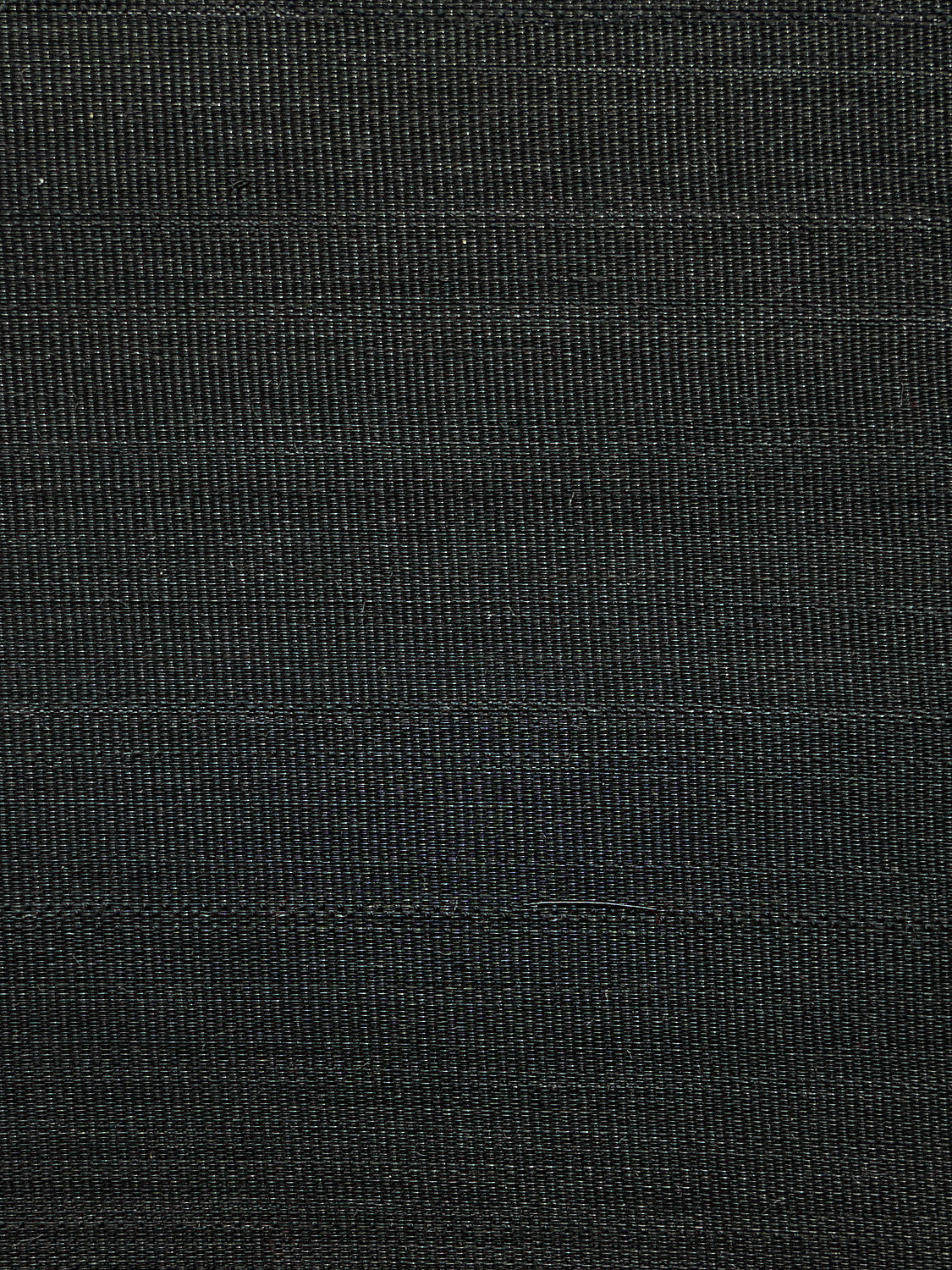 Paso Horsehair - Black