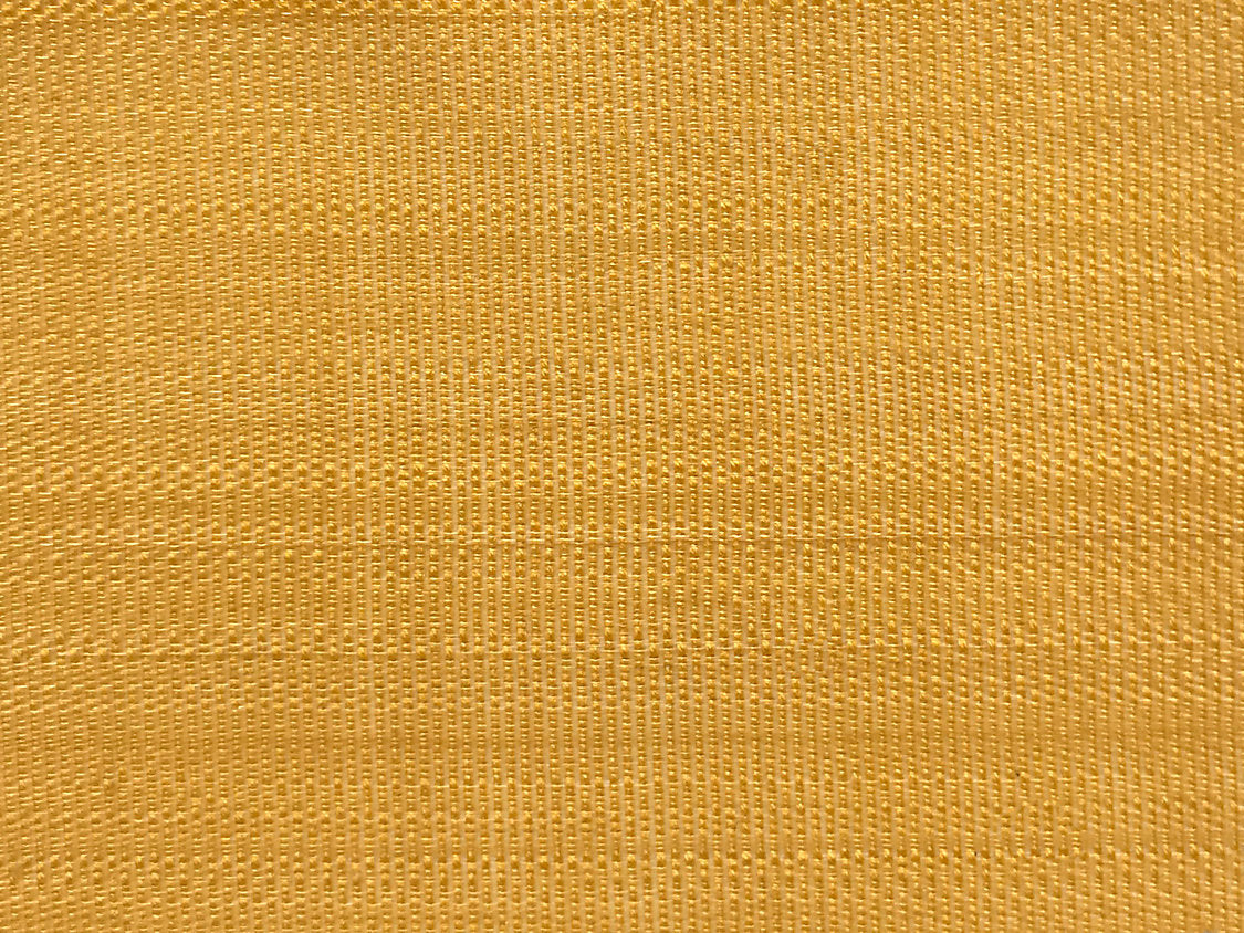 Paso Horsehair - Yellow - Scalamandre Fabric