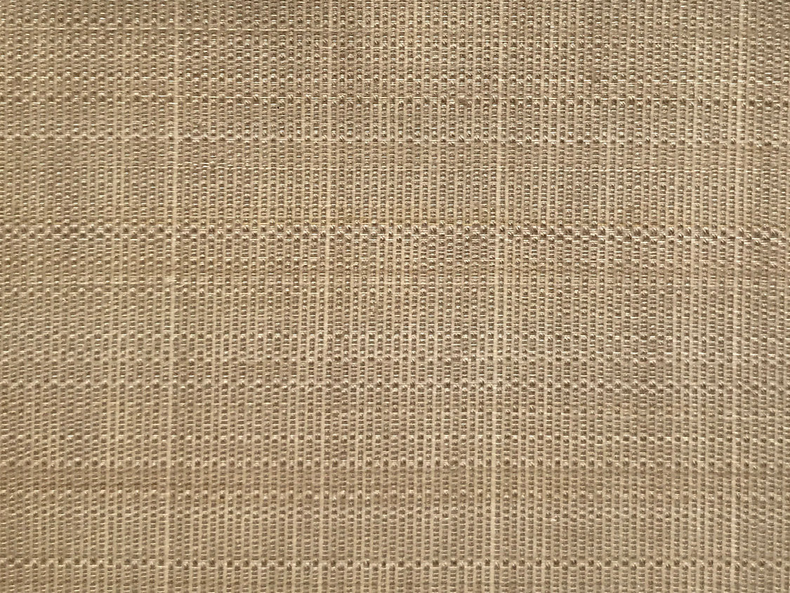 Paso Horsehair - Mushroom - Scalamandre Fabric