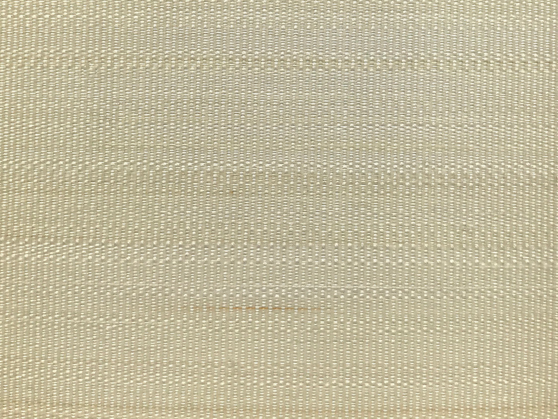 Paso Horsehair - Cream - Scalamandre Fabric