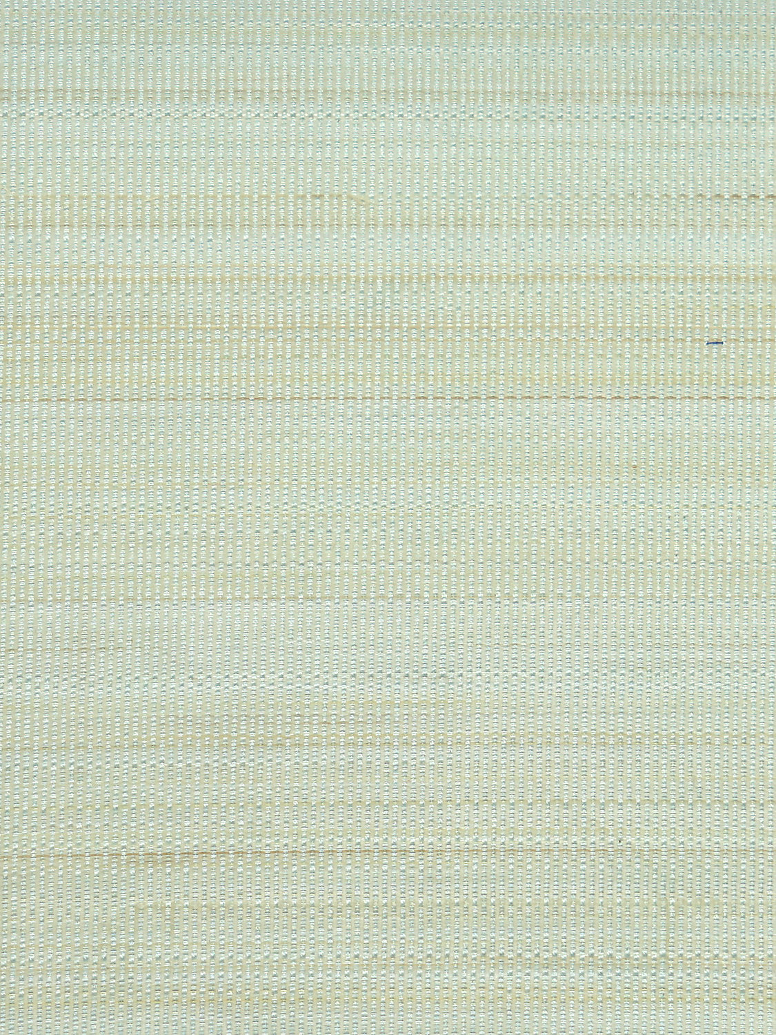 Paso Horsehair - Pale Blue - Scalamandre Fabric