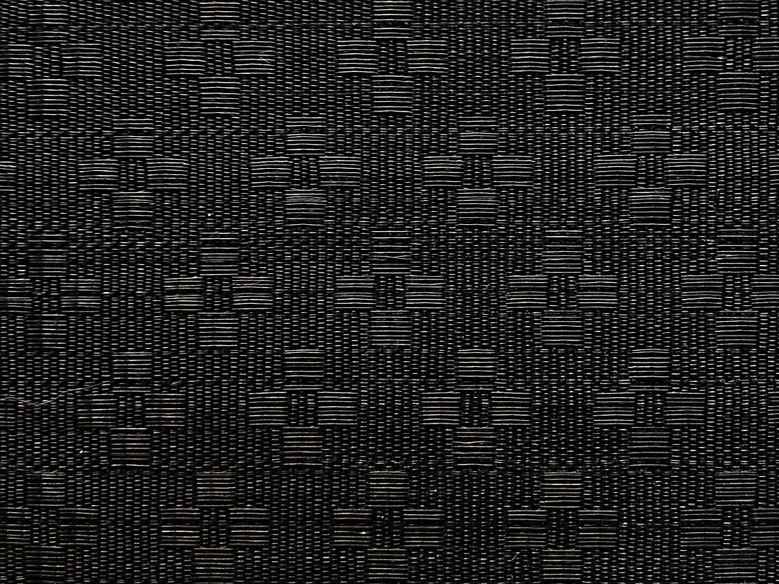 Ermine Horsehair - Black - Scalamandre Fabric