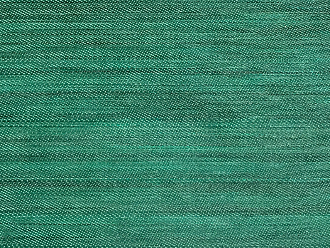 Criollo Horsehair - Green - Scalamandre Fabric