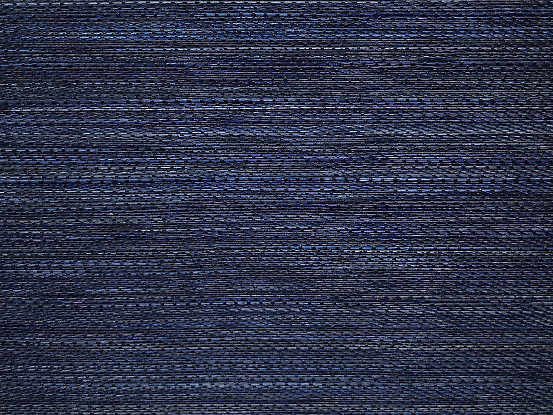 Criollo Horsehair - Navy - Scalamandre Fabric