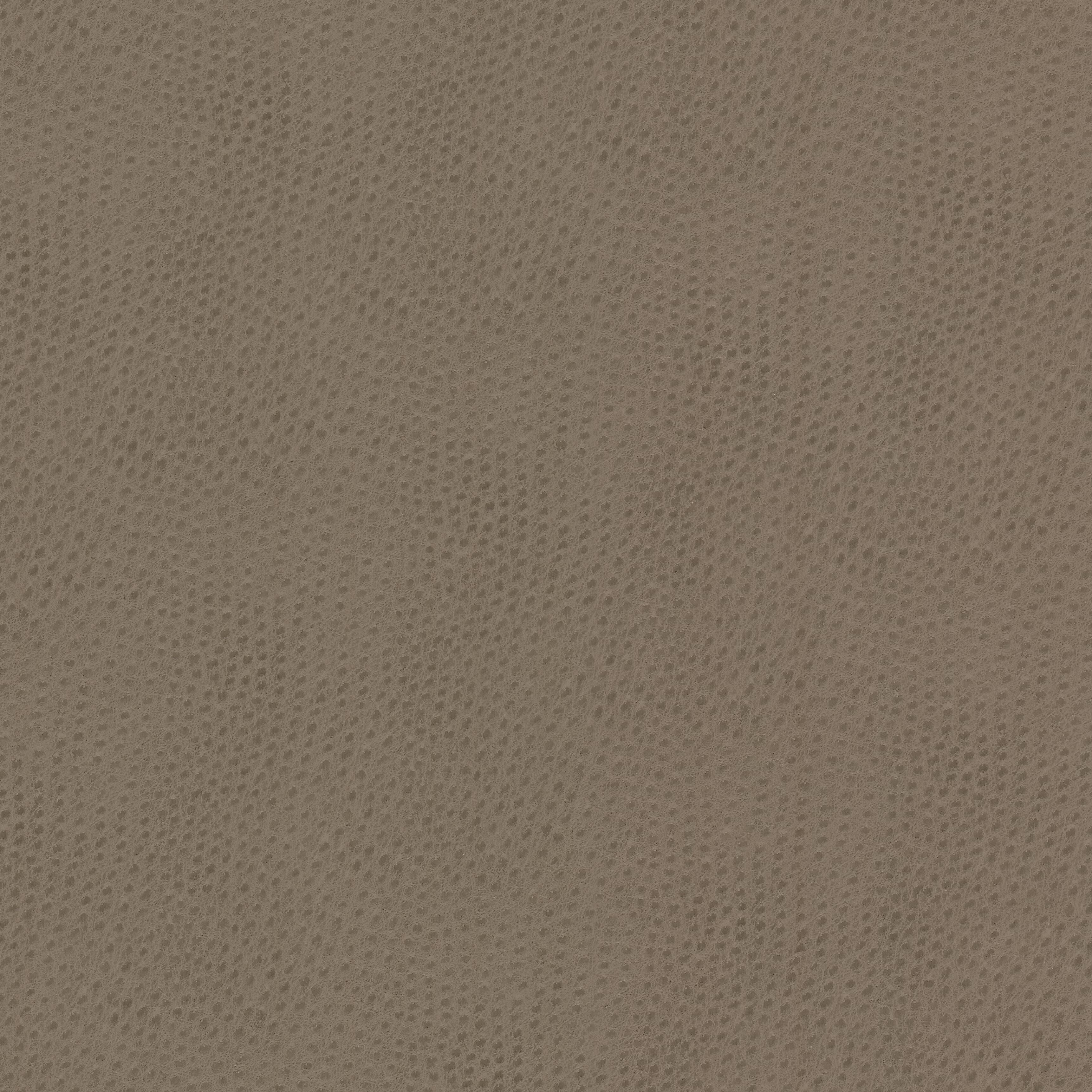 STEEPLECHASE-1-PUTTY-STOUT-TEXTILES