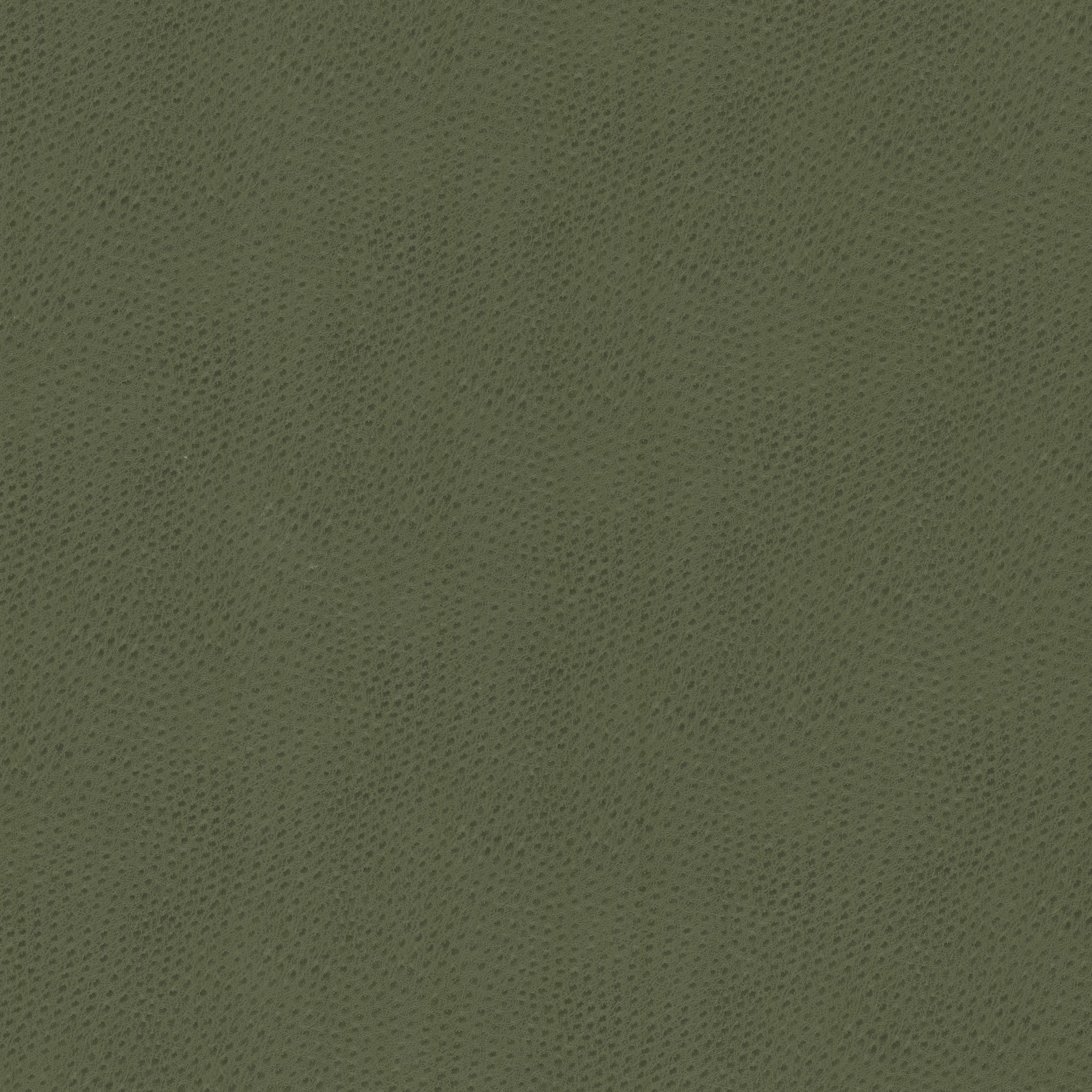 STEEPLECHASE-2-DILL-STOUT-TEXTILES