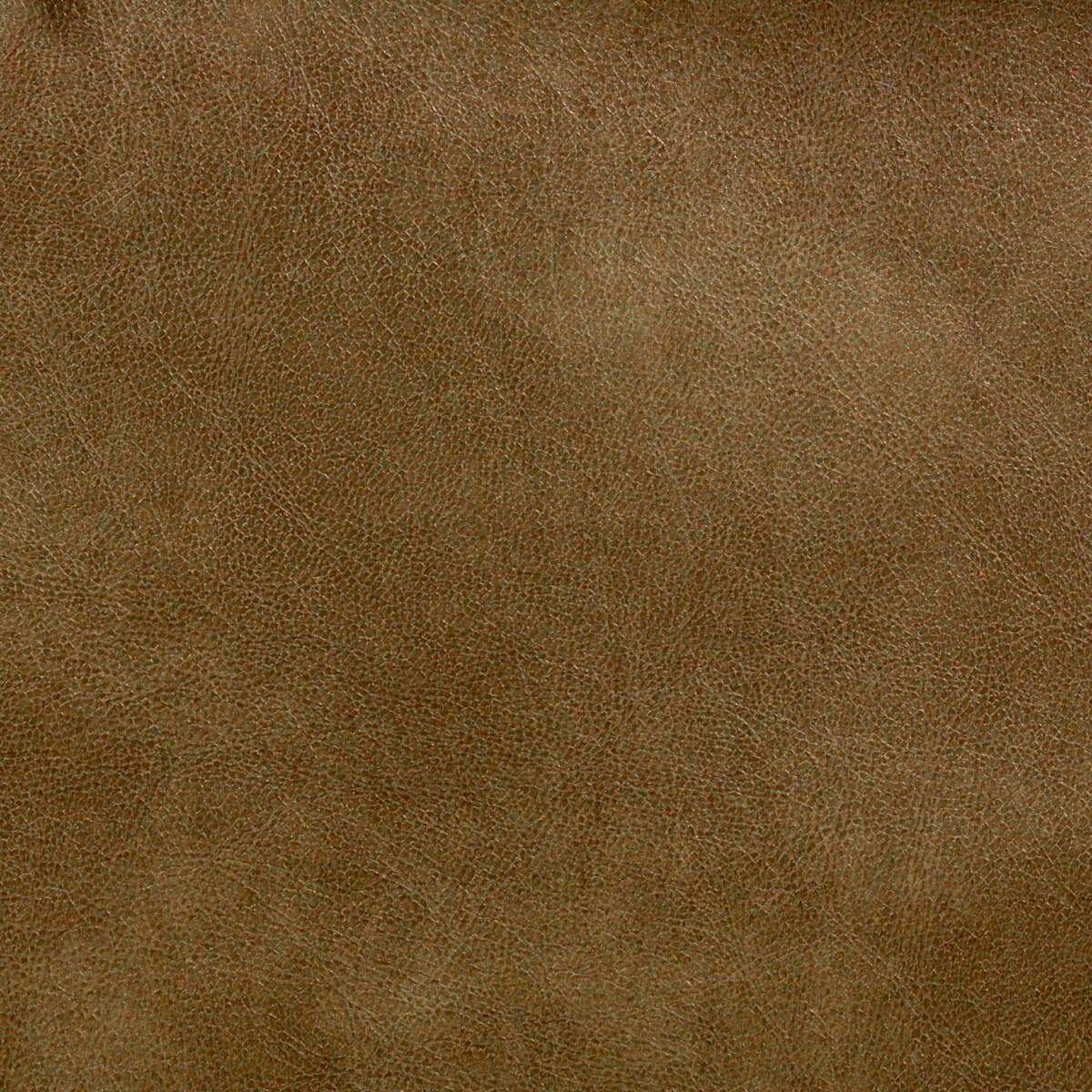 Turco 10 Prairie by Stout Fabric