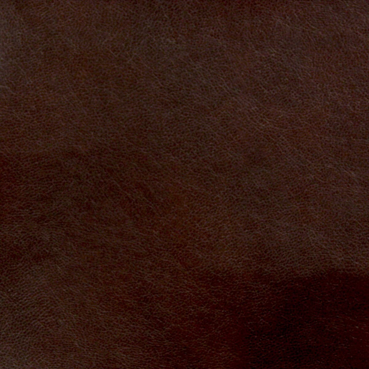 Turco 7 Espresso - Stout Textiles Fabric - Stout Textiles Fabric