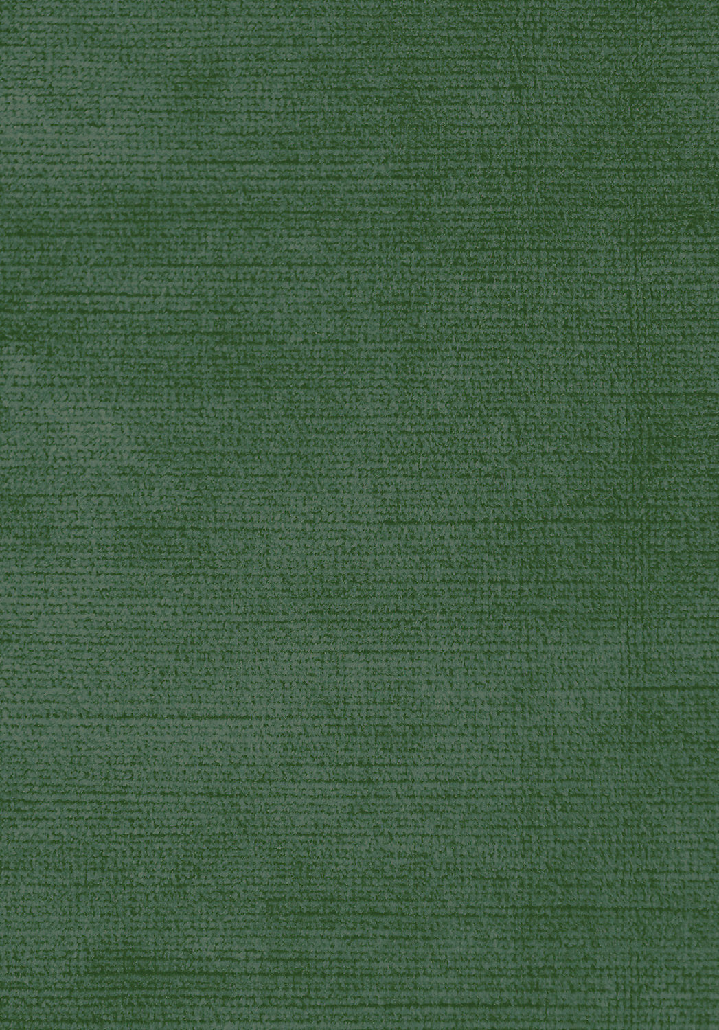 Antique Velvet - Chive