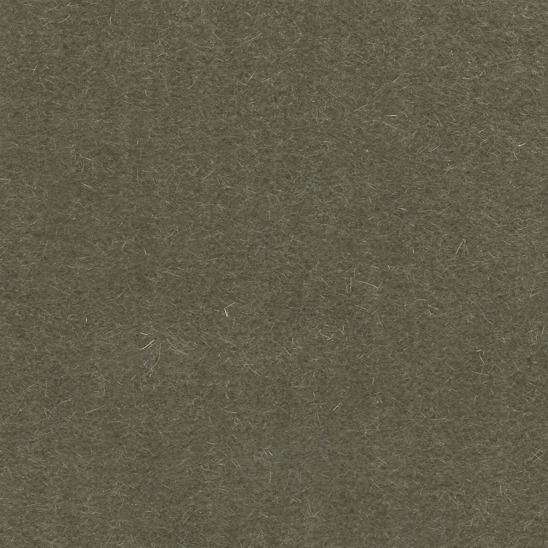 Majestic Mohair - Moss - Scalamandre Fabric