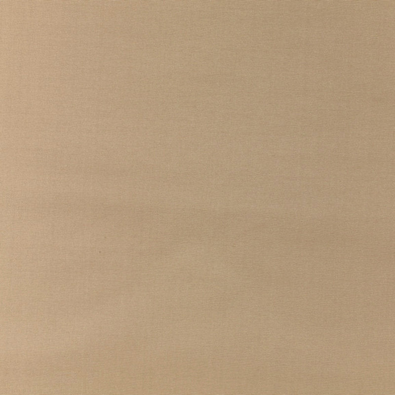 Pacific Silk - Biscotti - Scalamandre Fabric
