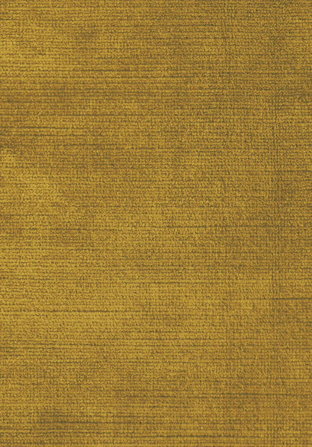 Antique Velvet - Honey Mustard