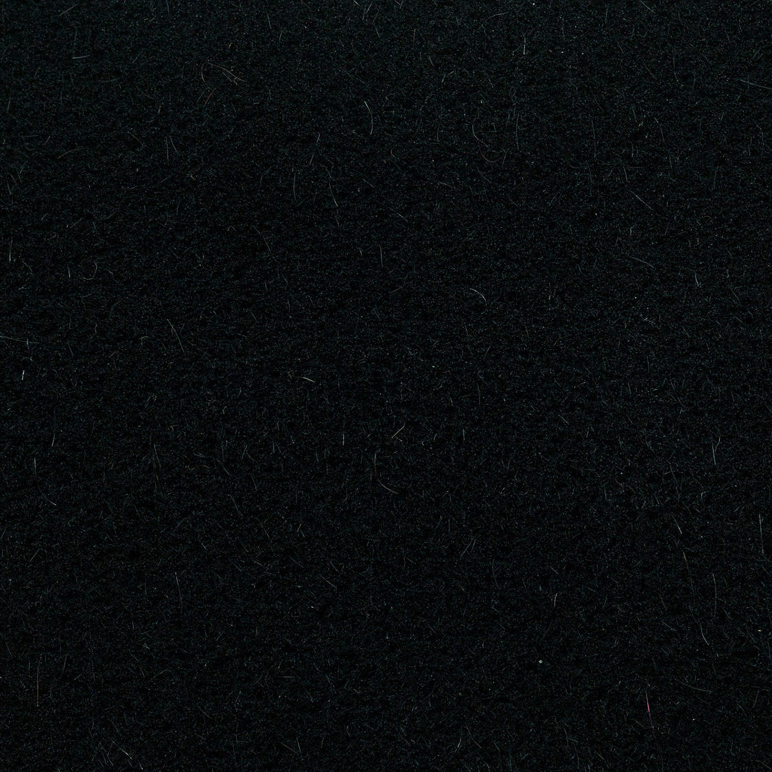 Majestic Mohair - Raven - Scalamandre Fabric