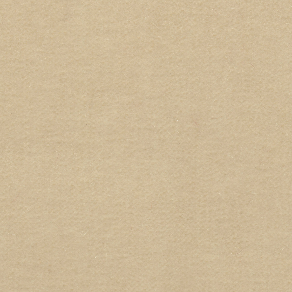 Majestic Mohair - Froth - Scalamandre Fabric