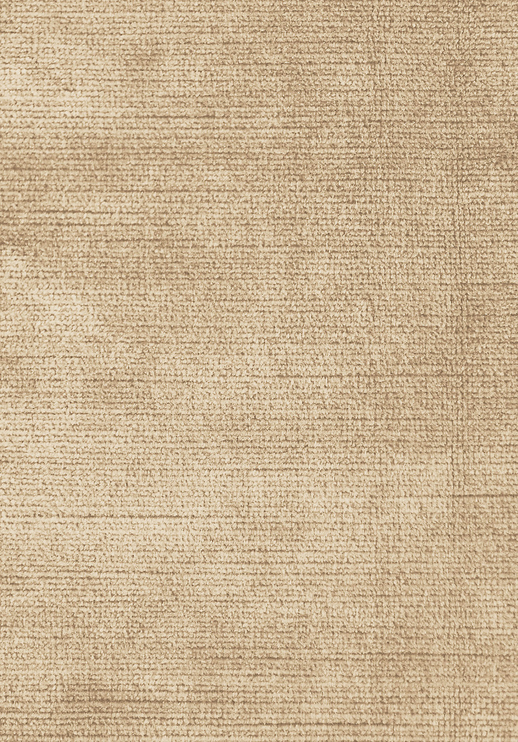 Antique Velvet - Almond Buff - Scalamandre Fabric